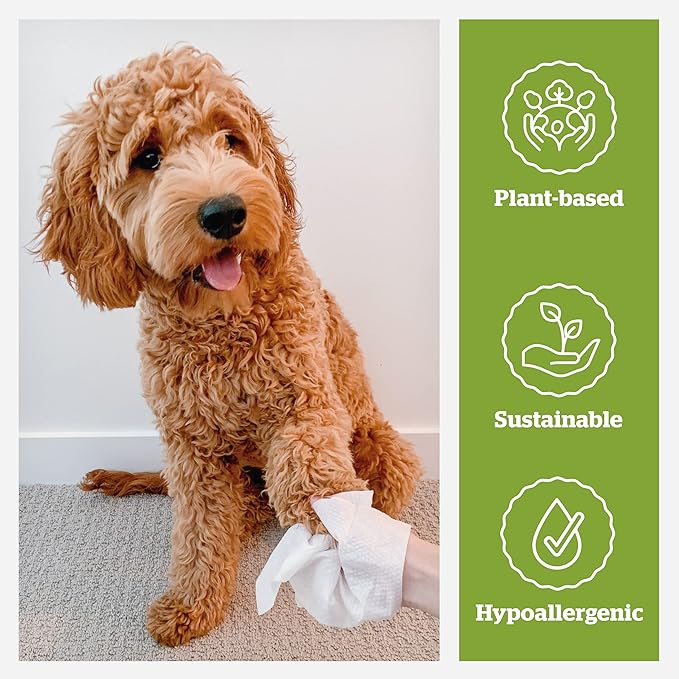 Pogi’s Dog Wipes Travel Packs – Hypoallergenic Pet Wipes for Paws, Body & Butt – Cleaning & Hydrating, Green Tea Scent, 240-Count