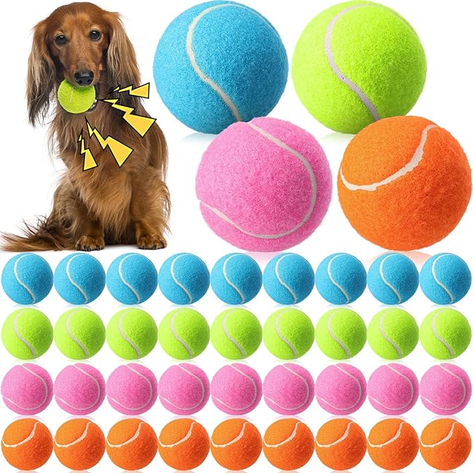 Skylety 40 Pcs 2.5 inch Squeaky Tennis Balls Bulk for Dogs Bouncy Floatable Tennis Balls Dog Playing Supplies Training Interactive Fetch Toys for Small Medium Puppy Exercise and Practice (Multicolor)
