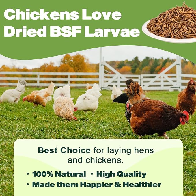 10LB Dried Black Soldier Fly Larvae, 86X Calcium Than Dried Mealworms, High Protein Non-GMO Organic Chicken Feed