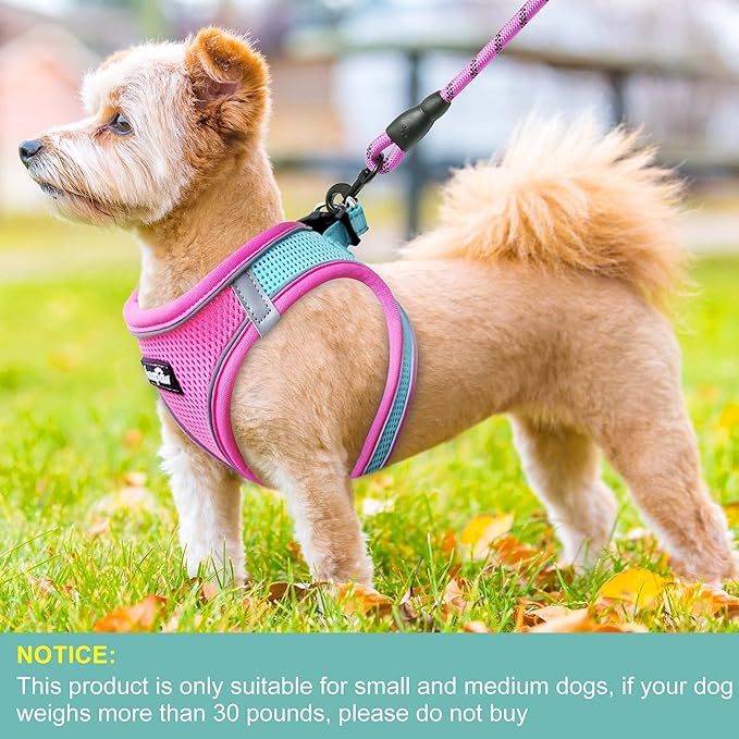 haapaw Dog Harness with Leash Set, No Pull Adjustable Reflective Step-in Puppy Harness with Thickened Padded Vest for Extra-Small/Small Medium Dogs