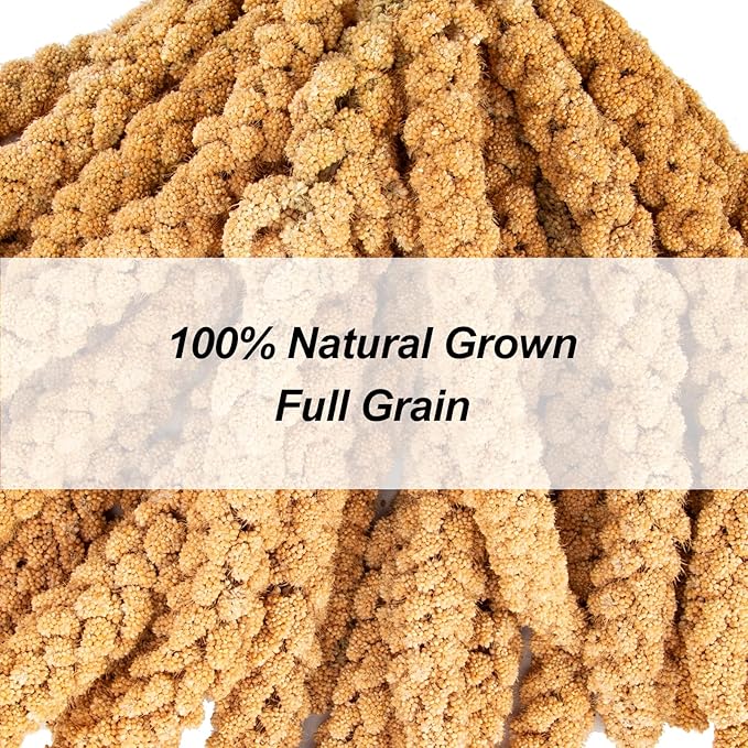Amzey 5.5 LB Spray Millet for Parakeets, 100% Natural Dried Millet Grain for Birds, Non-GMO Bird Treat for Cockatiel, Finches, Parrots & Lovebirds