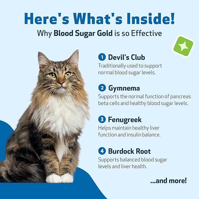 Pet Wellbeing Blood Sugar Gold for Cats - Healthy Blood Sugar Levels, Pancreas & Liver Function, Devil’s Club, Gymnema - Veterinarian-Formulated Herbal Supplement 4 oz (118 ml)