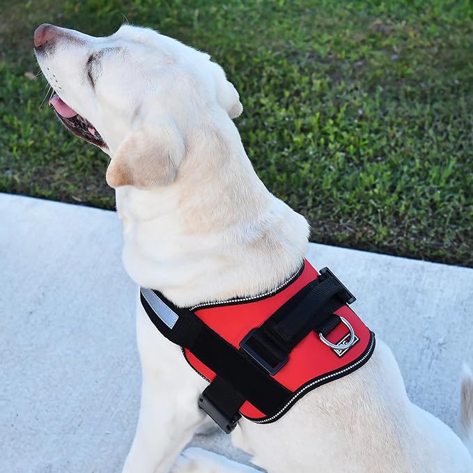 Dogline Dog Harness, Reflective No-Pull Adjustable Vest with Handle for Walking, Training, Service Breathable No - Choke Harness for Small, Medium or Large Dogs Room for Patches Girth 15 to 18 in Red