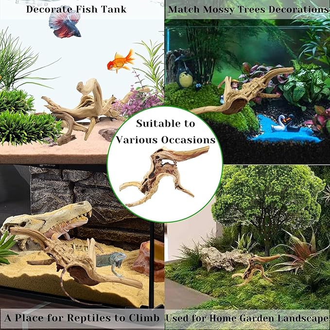 Tfwadmx Natural Driftwood for Aquarium, 11-13 inch Reptile Branches Terrarium Wood Aquarium Trunk Driftwood Tree Fish Tank Log Decoration Pack of 2
