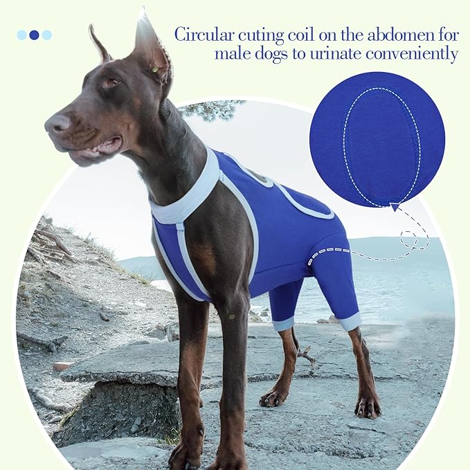 ROZKITCH Dog Surgery Leg Sleeve Rear Legs, Male Female Pet Prevent Licking Wound Elbow Knee Protector, Dog Recovery Suit Cone Collar Alternative Pants Shirt for Wound Heal Wrap Blue L