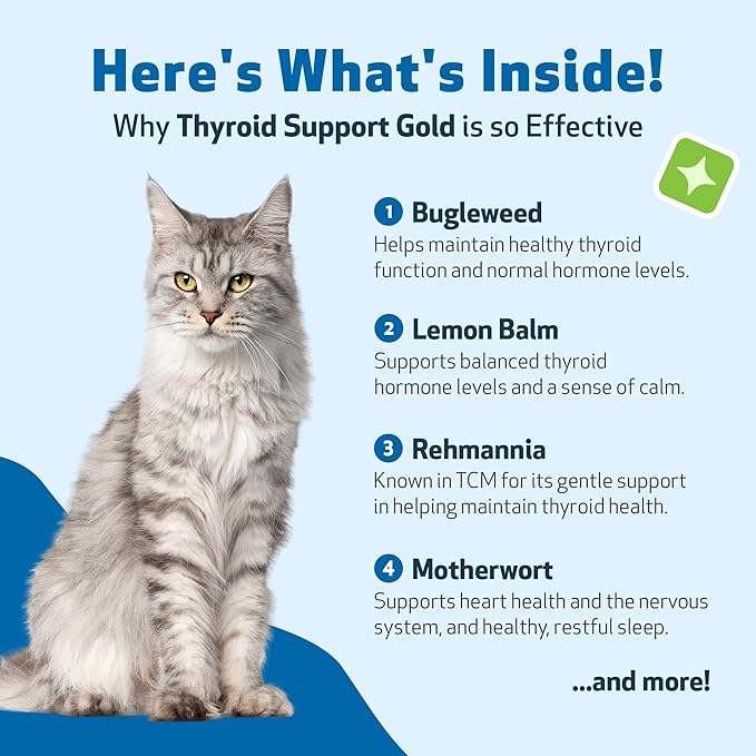 Pet Wellbeing Thyroid Support Gold for Cats - Supports Healthy Thyroid Gland Function in Cats, Normal Metabolism, Bugleweed, Lemon Balm - Veterinarian-Formulated Herbal Supplement 2 fl oz (59 ml)