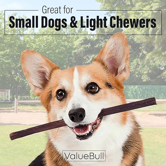 ValueBull Bully Sticks for Small Dogs, Thin 12 Inch, 100 Count - All Natural Dog Treats, 100% Beef Pizzles, Single Ingredient