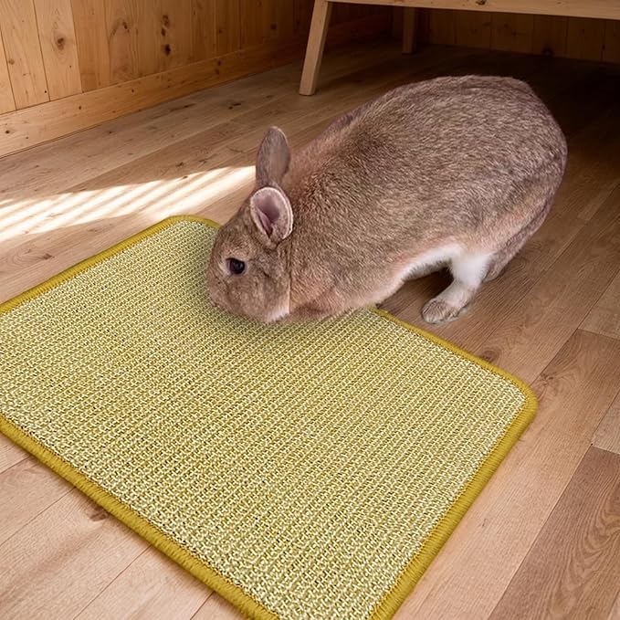 DYAUS Bunny Scratch Pad, Natural Sisal Rabbit Scratching Mat for Claws and Teeth Care, Indoor Bunny Chew Toys Bunny Bed for Biting Sleeping Nesting (1PC, 16x12in)