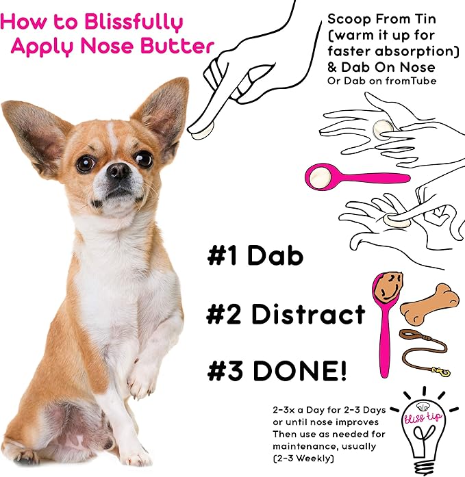 The Blissful Dog Short Coat Chihuahua Unscented Nose Butter - Dog Nose Butter, 16 Ounce