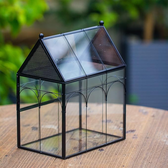 NCYP Glass Enclosure with Vent Holes for Insect, Jumping Spiders, Snails - 7.5" x 4.9" x 9" Small Closed Front Opening Door Succulent Terrarium - House Shape Habitat, Home Decor Black (No Plants)