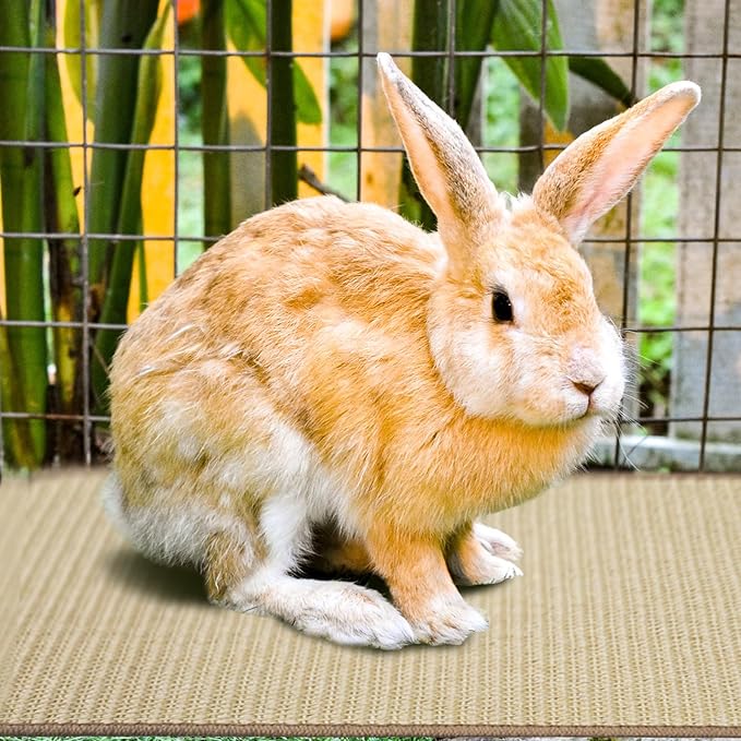 2Pcs Rabbit Scratch Mat,16 x 12 Inch Sisal Rabbit Scratching Pad,Rabbits Scratching Mats for Cages,Claws and Teeth Care Rabbits Chew Toys,Small Pet Bedding for Biting Sleeping Nesting