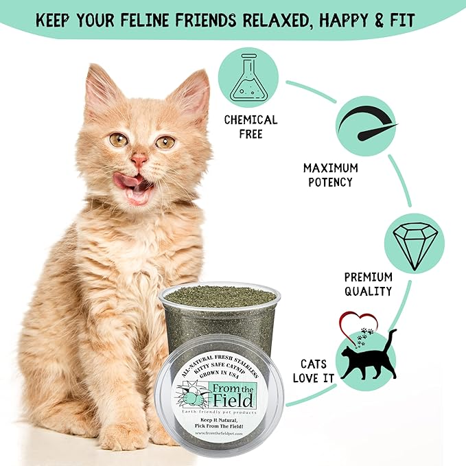 from The Field | Fine Ground Stalkless Catnip | Premium USA-Grown Catnip for Toys & Playtime | Fresh, Potent, Non-Toxic, Eco-Friendly | Safe for Kittens & Cats | Resealable 10 Oz Bag