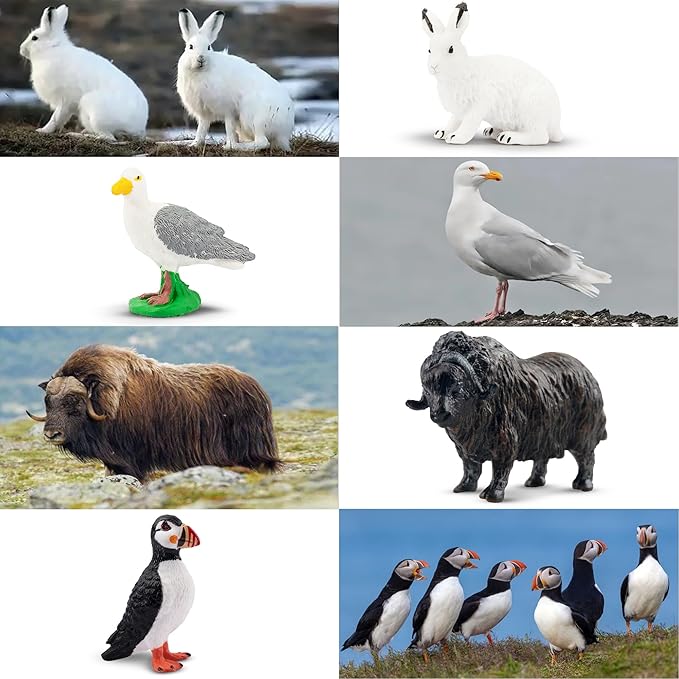 Toymany 14PCS Mini Arctic Animals Figurines Set, Polar Animals Toys with Polar Bear, Caribou, Penguin, Walrus, Wolf Figurines Cake Toppers Birthday Easter Gifts for Preschool Kids
