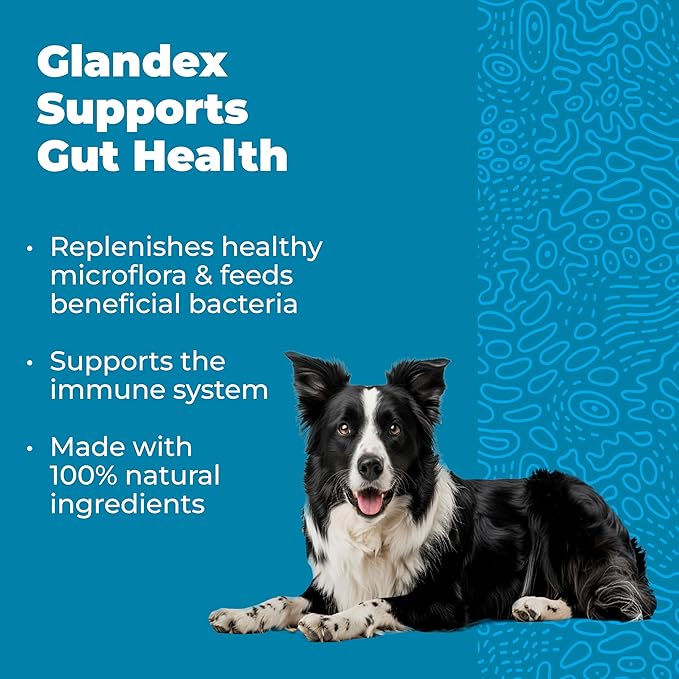 Vetnique Glandex Daily Probiotics for Dogs with Prebiotics to Support Gut Health with Fiber and Digestive Enzymes, Probiotic Chews or Powders (120ct Chews, Bacon Chews)