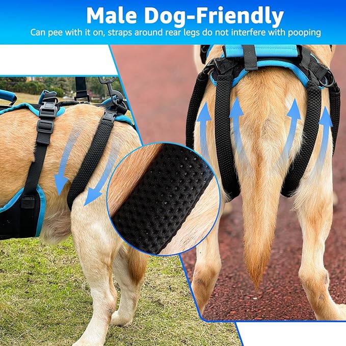 Dog Lift Harness for Large Male Dogs, 2-in-1, Back Leg Support & Mobility Assistance for Senior Dogs, Post-Surgery Recovery Sling(Black, Large)