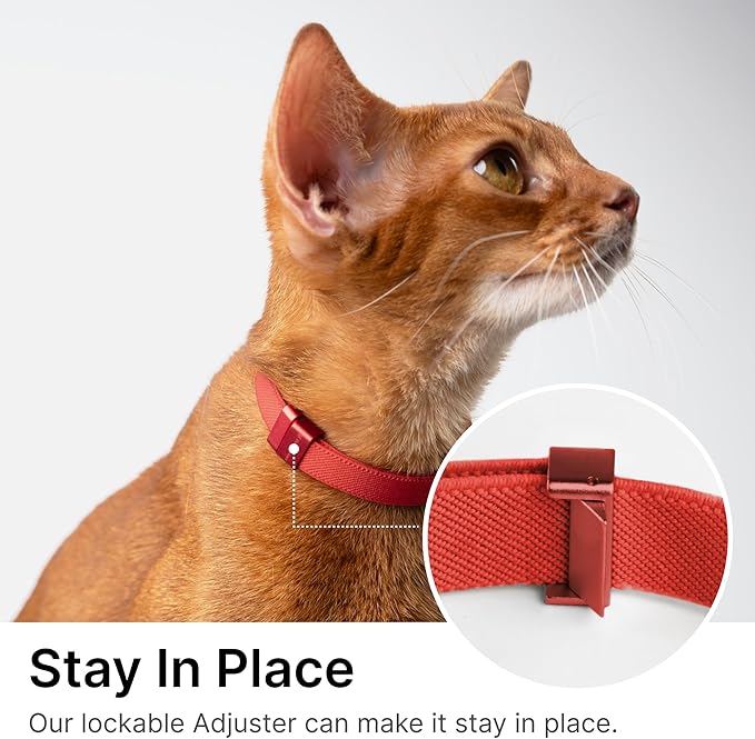 Safety Cat Collar Pro - U.S. IDA Gold Awarding Design, Elastic Quick Release Cat Collar with Buckle Non Breakaway - Lightweight for Kitten All Small Large Cats (Glacier Silver, S 5.9-11.8")