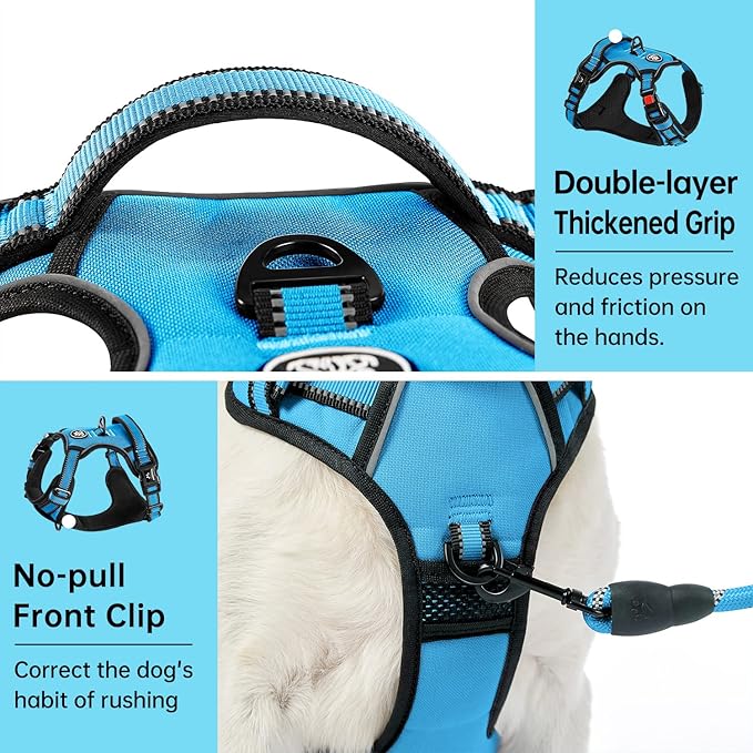 IVY&LANE No Pull Dog Harness for Small Dogs, Dog Vest Harness with Leash, Safety Belt and Storage Strap, Fully Adjustable Harness, 360° Reflective Strip, Soft Handle (Blue, S)