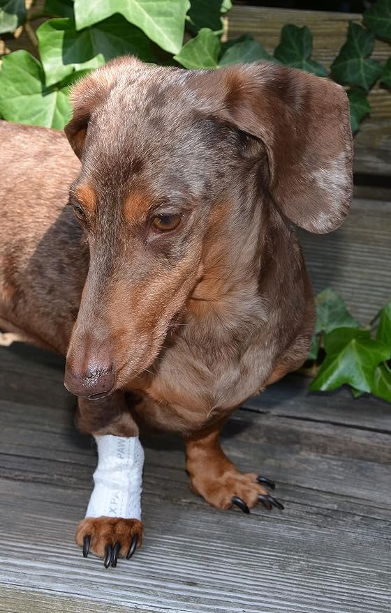 Protective Sleeve Tubular Cover - Bandages - for Dogs Cats and Other Pets First Aid Wound Care Comfortable Non-Adhesive Breathable & Water Resistant 12 Strips (yields 24-36 Covers)-(X-Small)