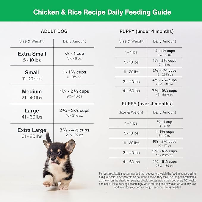 JustFoodForDogs DIY Nutrient Blend for Homemade Dog Food, Chicken & White Rice