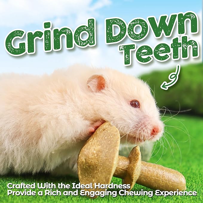 TEEWY 4PCS Guinea Pig Chew Toys, Prevent Teeth Overgrowth, Natural Vegetables and Timothy Grass, Hamster Chew Toys, Guinea Pig Toys, Chinchilla Toys, Grass Patch & Mushrooms