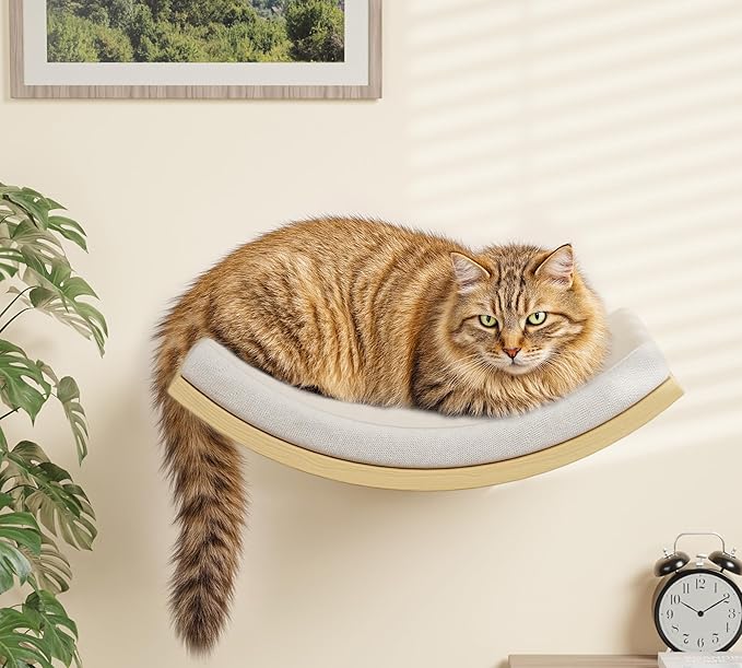 Cat Window Perches, Curved Cat Wall Beige Bed and 2 Floating Wall Steps, Wall Mounted Climbing Shelves for Sleeping, Playing, and Lounging