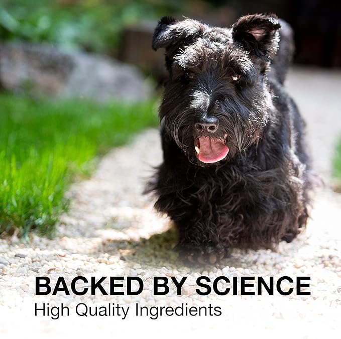 Nutramax Denosyl Liver and Brain Health Supplement for Medium Dogs - With S-Adenosylmethionine (SAMe), 30 Tablets