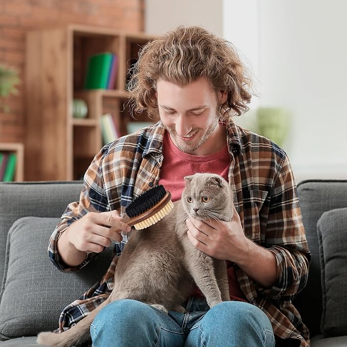 Takavu Double-Sided Boar Bristle Cat Brush - Natural Grooming Tool for Gentle Cleaning, Shine & Reduced Loose Hair - Wood Handle Pet Brush