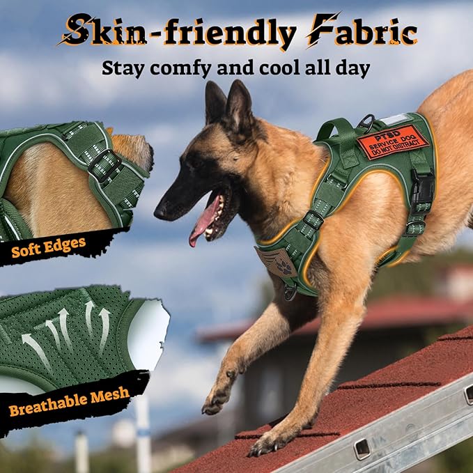 rabbitgoo Dog Harness Small Sized No Pull, Tactical Service Pet Vest with Molle and Control Handle, Adjustable and Reflective Military Harness for Easy Walking and Training, Green, S