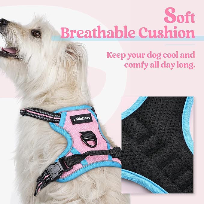 rabbitgoo Dog Harness No Pull with 2 Leash Clips, Adjustable Soft Padded, Reflective Oxford No Choke Pet Vest with Easy Control Handle for Puppy, Pink & Blue, XS