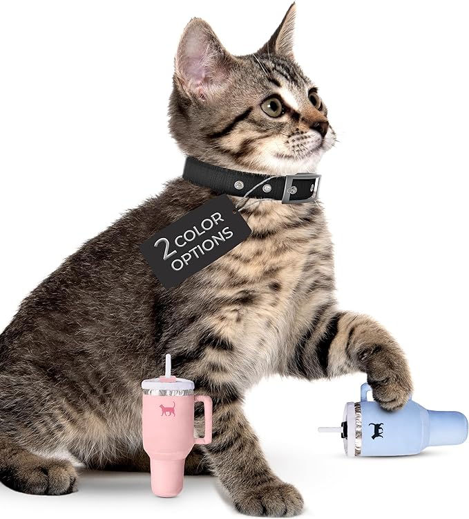 Kitty Cup Tumbler Cat Toy – Funny Cat Birthday Gifts with Catnip & Crinkle Paper, Cute Girl Kitten Toys (Chambray Blue)