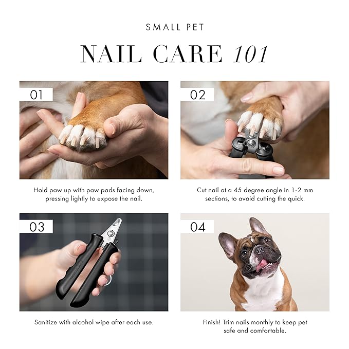Tweezerman Small Nail Clippers for Dogs & Cats, Manual Professional Dog & Cat Nail Trimmer with Ergonomic Handle