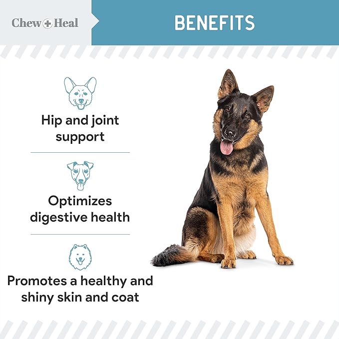 12-in-1 Multivitamin Powder for Dogs - 14 oz of Puppy and Senior Dog Vitamins and Supplements - Advanced Formula with Glucosamine, Omega 3,6,9, Vitamins, Probiotics, and More - Made in The USA