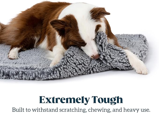 Stoutwool Indestructible Dog Bed - Fluffy Chew Proof Dog Crate Pad - Tough Kennel Pad for Aggressive Chewers - Washable, Ideal for Jumbo Breeds & Fits 54-Inch Crate - 53"x35", Charcoal