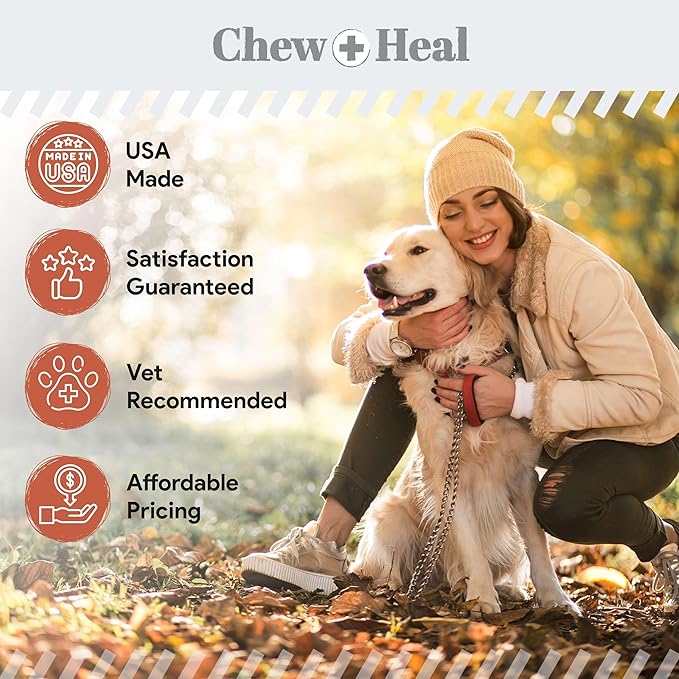 Salmon Oil for Dogs - Soft Chew Omega Treats for Skin and Coat - Fish Oil Blend of Essential Fatty Acids, Omega 3 and 6, Vitamins, Antioxidants and Minerals - Made in USA (180 Chews, Salmon)