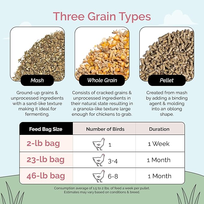 Organic Chicken Feed – Layer Whole Grain, Non-GMO, USA Grown, 16% Protein, Corn-Free, Soy-Free, Non-Medicated Feed for Chickens, 2 lb Sample
