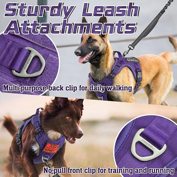 rabbitgoo Tactical Dog Harness Medium Sized Dog, No Pull Military Service Vest with Handle & Molle, Easy Control for Training Walking, Adjustable Reflective Straps, Purple, M