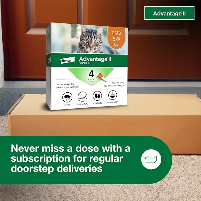 Advantage II Small Cat Vet-Recommended Flea Treatment & Prevention | Cats 5-9 lbs. | 4-Month Supply