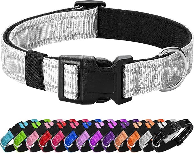 Reflective Dog Collar Padded with Soft Neoprene Breathable Quick Release Basic Dog Collars for Small Dogs Girl Boy Silver