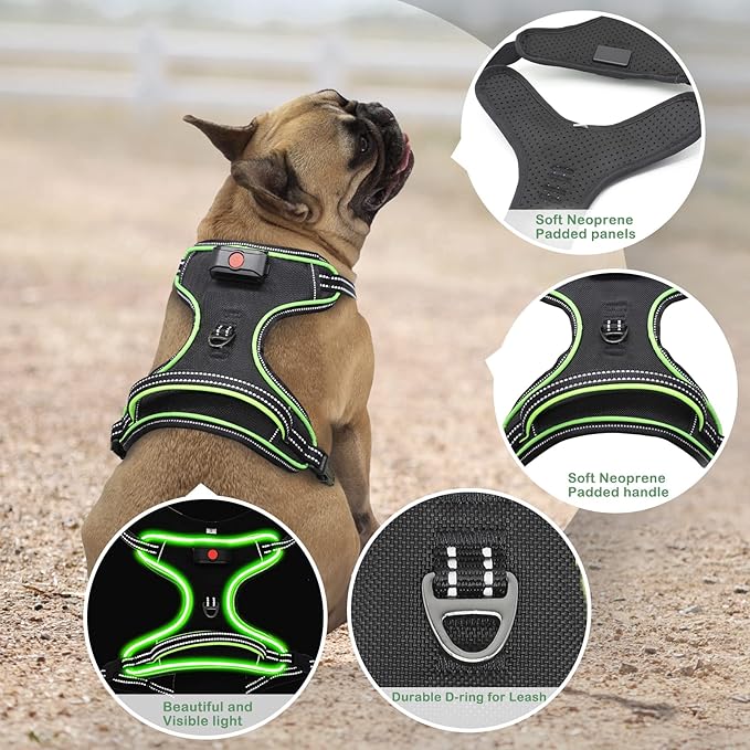 Rechargeable LED Dog Harness - No Pull, 4 Point Adjustable, Small/Medium/Large/X-Large Sizes