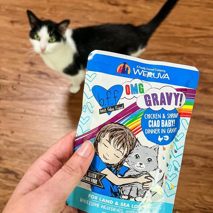 Weruva B.F.OMG - Best Feline Friend Oh My Gravy!, Tuna & Beef Baby Cakes with Tuna & Beef in Gravy Cat Food, 3oz Pouch (Pack of 12), Purple (0152)