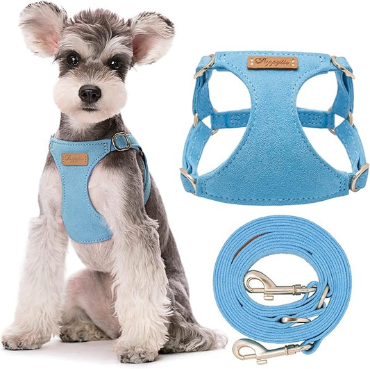 Puppytie No Pull Small Dog Harness with Multifunction Dog Leash,Lightweight Soft Adjustable No Choke Escape Proof Pet Harness Vest Pet Harness Vest,Ocean Blue,S