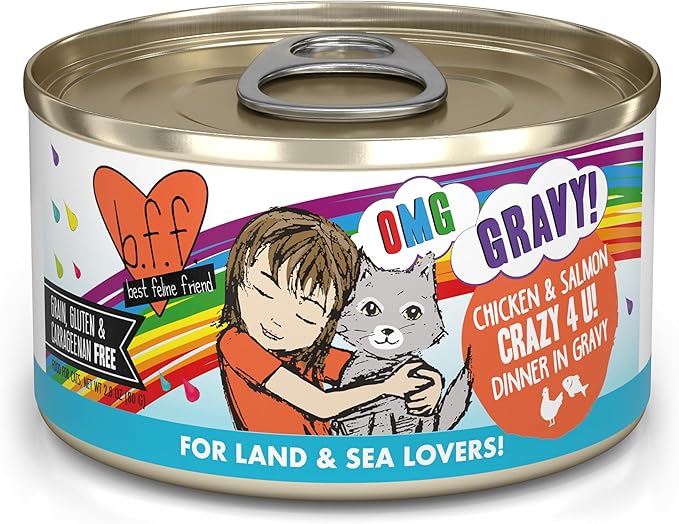 Weruva B.F.F. OMG - Best Feline Friend Oh My Gravy! Grain-Free Wet Cat Food Cans, Crazy 4 U! Chicken & Salmon, 2.8oz Can (Pack of 12)