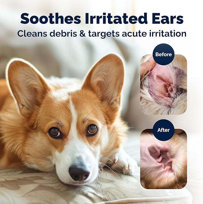 Vetnique Oticbliss Advanced Strength Medicated Dog Ear Infection Treatment, Antiseptic Ear Cleaner for Cat & Dog Ear Cleaning Solution Chlorhexidine & Ketoconazole (6oz Flush)