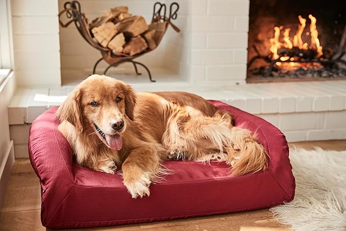 K9 Ballistics Tough Bolster Orthopedic Sofa Dog Bed with Removable Washable Cover - Durable, Water Resistant with Nonskid Bottom - Medium, Taupe Premium Finish