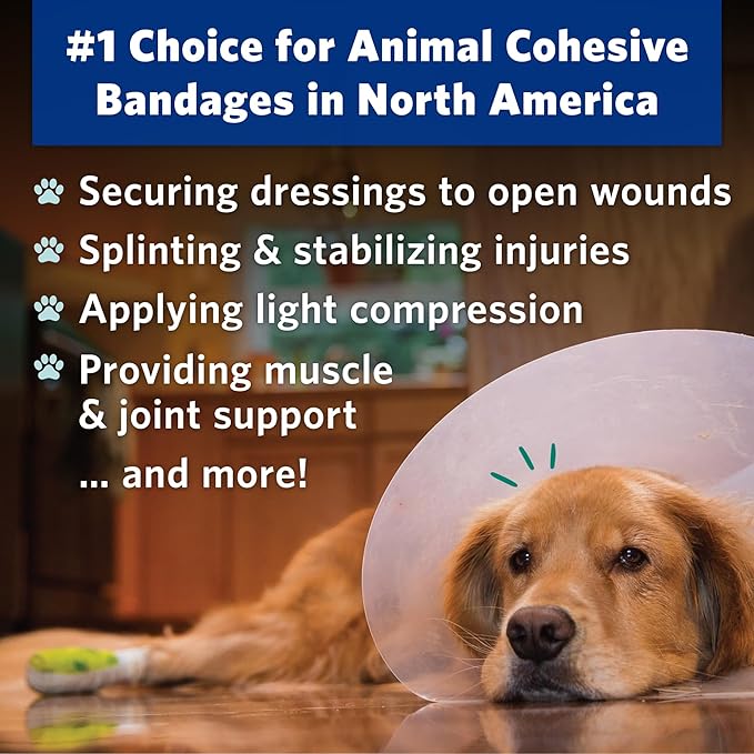 PetFlex Paw Pack – Flexible Self-Adhering Elastic Bandage for Wound Care – First Aid Wrap for Small Animals Like Dogs, Cats, and Other Pets - 2 inch, 2 Rolls