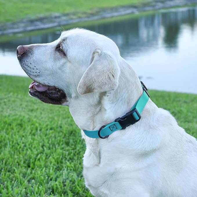 Dogline Biothane Waterproof Dog Collar with Quick Release Buckle Strong Coated Nylon Webbing with Odor- Proof for Easy Care Easy to Clean Fits Small Medium Large Dogs, Cyan Blue 1" W 15-25" L