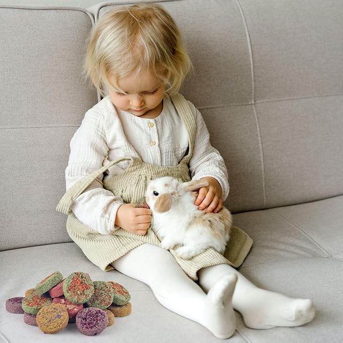 ERKOON 24Pcs Bunny Chew Toys, Small Animal Molar Toys Timothy Grass Beet Sweet Potato Pumpkin Cake Treats for Guinea Pig Hamster Bunny Chinchilla Gerbil, 100% Natural Rabbit Chews and Treats