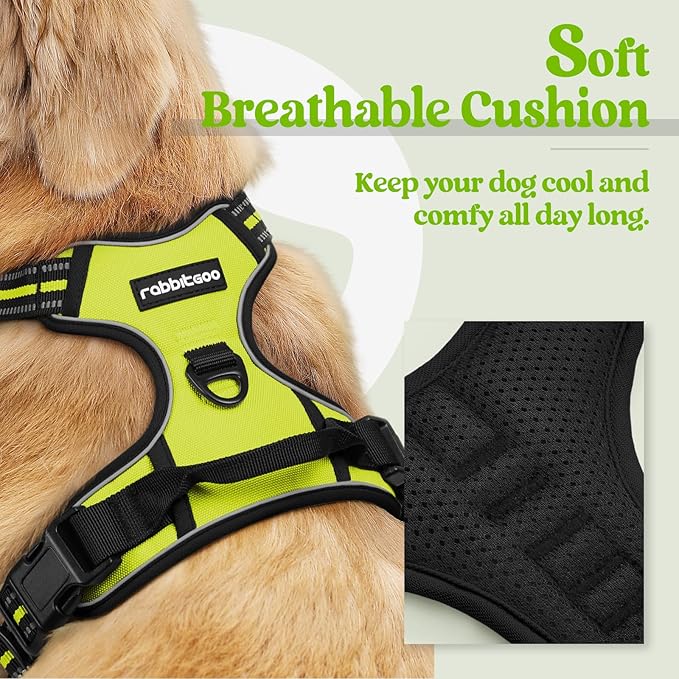 rabbitgoo Dog Harness No Pull with 2 Leash Clips, Adjustable Soft Padded, Reflective Oxford No Choke Pet Vest with Easy Control Handle for Small Dogs, Wild Lime,S
