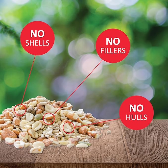 Lyric Delite Wild Bird Seed for Outside Feeders - No Waste Bird Food, Nuts & Seeds Mix, Attracts Buntings, Chickadees & Finches, 10 lb (Pack of 2-5 lb Bags)