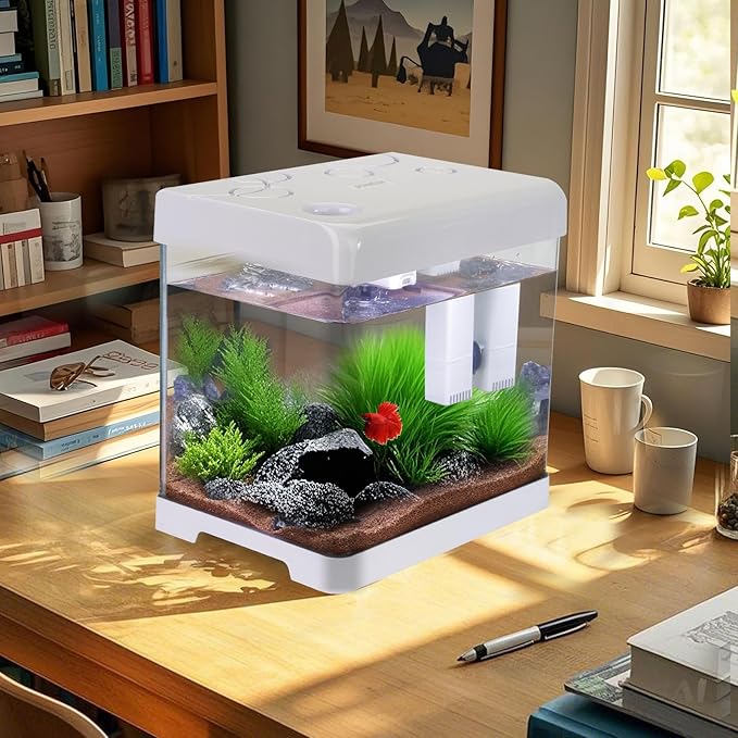 5 Gallon Glass Small Fish Tank,Betta Fish Tank with Filter and Light,White Aquarium Starter Kit.